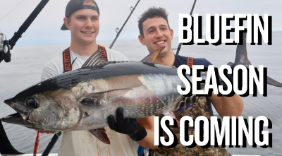 Bluefin Season Is Coming to California!